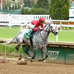 bet on blazer stakes